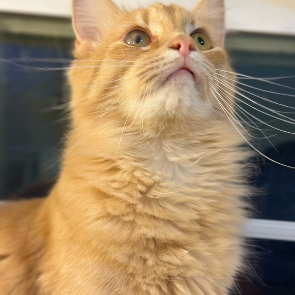 Meet your Posher, Tayler - Picture 8 of 8